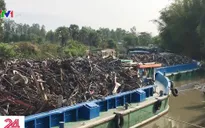 Phát hiện hàng nghìn tấn phế liệu nghi nhập lậu tại Đồng Tháp
