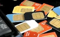 Sẽ báo cáo Thủ tướng nếu các nhà mạng có sim rác trên thị trường