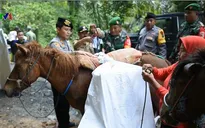 Hơn 300 nhân viên bầu cử Indonesia tử vong