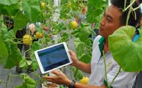 Nông dân sử dụng công nghệ trong nông nghiệp