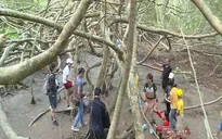 Di tích Giàn Gừa - Di tích thiên nhiên hiếm có ở miền Tây