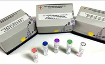 Chế tạo thành công bộ sinh phẩm xác định vi khuẩn gây nhiễm khuẩn huyết và phát hiện gene kháng kháng sinh