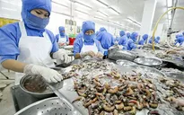 Cần thêm cơ chế cho doanh nghiệp tư nhân ĐBSCL phát triển