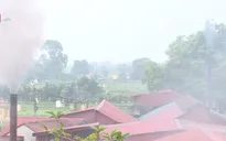 Khó xử lý xưởng gỗ gây ô nhiễm tại huyện Phúc Thọ (Hà Nội)