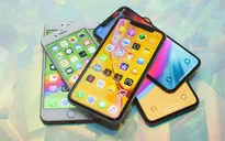 iPhone XR 2019 sẽ có phiên bản màu "tím mộng mơ"