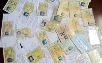 TP.HCM: Phát hiện hàng trăm giấy phép lái xe giả