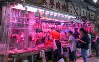 Bùng phát dịch tả lợn châu Phi ở Hong Kong, Trung Quốc