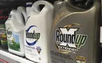 Monsanto "dính" bê bối truyền thông
