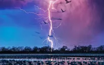 Ấn tượng những bức ảnh trong đời thực tưởng như chỉ có trên phim