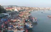 Không khí tấp nập tại cảng cá lúc rạng sáng