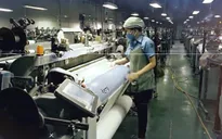 Công nhân trước nguy cơ bị đào thải bởi robot