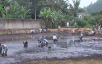 Thanh Hóa: Nguy cơ ô nhiễm môi trường từ nhà máy mía đường