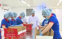 Chiếu xạ trái cây - Sân chơi chỉ "một mình một ngựa"?