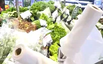 Túi vi sinh liệu có thực sự thân thiện với môi trường?