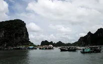 Hỗ trợ giảm giá vé tàu cao tốc cho người dân có hộ khẩu ở Cô Tô
