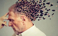 WHO khuyến cáo lối sống lành mạnh giúp giảm nguy cơ mắc chứng mất trí nhớ