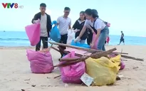 Chung tay bảo vệ môi trường biển