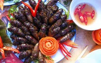 Cẩn trọng khi dùng côn trùng làm thức ăn