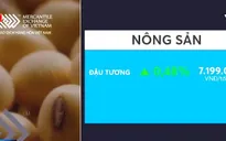 Giá đậu tương tăng