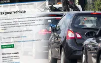 Thị trường Mỹ phản ứng tích cực với kế hoạch hoãn thuế ô tô