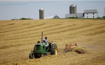 Mỹ ưu tiên hỗ trợ 5 mặt hàng nông sản tại 5 bang do cuộc chiến thương mại