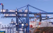 Đề xuất giải pháp tháo gỡ khó khăn cho các công ty vận tải biển