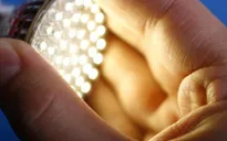 Cảnh báo những nguy cơ của đèn LED đối với sức khỏe con người