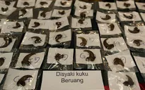 Hai người Việt săn trộm thú bị Malaysia tuyên mức phạt kỷ lục