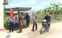 Người dân Khánh Hòa tích cực phòng chống lây lan dịch tả heo châu Phi