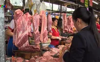 TP.HCM đảm bảo nguồn thịt lợn an toàn trước tình hình dịch tả lợn châu Phi