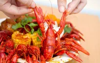 Tôm hùm đất bị cấm bán tại Việt Nam