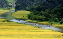 Khai mạc Tuần du lịch “Sắc vàng Tam Cốc - Tràng An”
