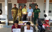 Bắt giữ vụ buôn bán trái phép 120.000 viên ma túy tổng hợp