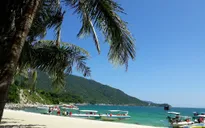 Không ủng hộ mở tuyến du lịch đi Cù Lao Chàm