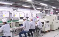 Nhà máy tập đoàn đa quốc gia ồ ạt tuyển nhân sự