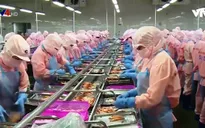 Hiệp định CPTPP tạo thêm cơ hội xuất khẩu sang thị trường Nhật Bản