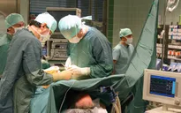 Keo giúp ngăn vết thương nội tạng chảy máu