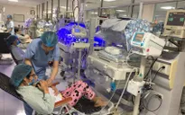 Nhiều lợi ích khi chăm sóc trẻ bằng phương pháp Kangaroo