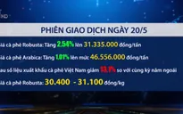 Giá cà phê hồi phục