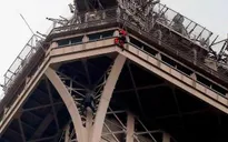 Pháp bắt giữ đối tượng trèo lên Tháp Eiffel và cố thủ trong hơn 6 giờ
