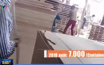 Bất thường quanh con số xuất khẩu gỗ ép từ Việt Nam vào Mỹ