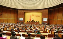 Đại biểu Quốc hội: Cần quy định đủ mạnh để phòng chống tác hại của rượu, bia