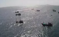 Phạt đến 1 tỷ đồng với hành vi vi phạm khai thác thủy sản