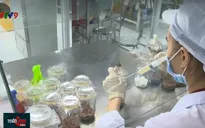 Nông nghiệp công nghệ cao - Lĩnh vực “nóng” thu hút vốn đầu tư