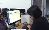 Phần mềm quản lý dữ liệu giáo dục PINO hoạt động bình thường