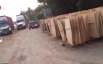Thực hư năng lực sản xuất của doanh nghiệp gỗ ép xuất khẩu
