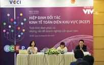 Doanh nghiệp Việt Nam kỳ vọng gì về Hiệp định RCEP?