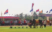 Hoàng gia Campuchia tổ chức Lễ Hạ điền 2019