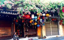Hội An rực rỡ với trăm hoa khoe sắc ngày hè