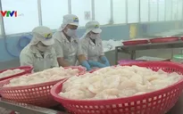 10 tháng xuất siêu 7 tỷ USD